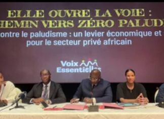 Paludisme en Afrique: Speak Up Africa mobilise le secteur privé pour éliminer