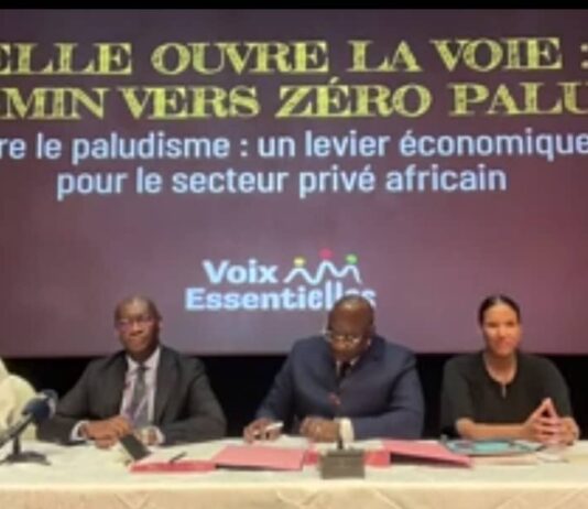 Paludisme en Afrique: Speak Up Africa mobilise le secteur privé pour éliminer
