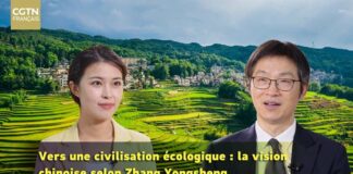 Vers une civilisation écologique : la vision chinoise, selon Zhang Yongsheng