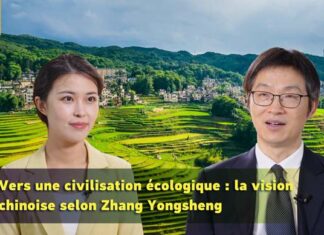 Vers une civilisation écologique : la vision chinoise, selon Zhang Yongsheng