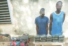 Trafic de stupéfiants : la Police Nationale met aux arrêts deux présumés trafiquants à Léo