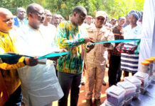 Foire aux semences de variétés améliorées de plante : la recherche, au service de l’entrepreneuriat agricole