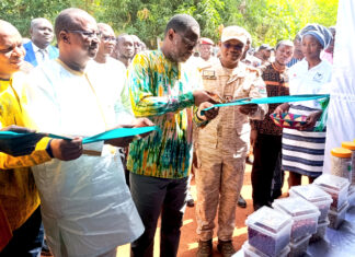 Foire aux semences de variétés améliorées de plante : la recherche, au service de l’entrepreneuriat agricole
