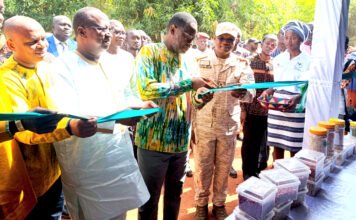 Foire aux semences de variétés améliorées de plante : la recherche, au service de l’entrepreneuriat agricole