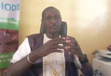 Abdoulaye Gueye, nutritionniste : « Toutes les couches sociales sont concernées par les carences en micronutriments »