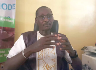 Abdoulaye Gueye, nutritionniste : « Toutes les couches sociales sont concernées par les carences en micronutriments »