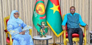 𝐃𝐞́𝐯𝐞𝐥𝐨𝐩𝐩𝐞𝐦𝐞𝐧𝐭 𝐞́𝐧𝐞𝐫𝐠𝐞́𝐭𝐢𝐪𝐮𝐞 : 𝐮𝐧𝐞 𝐝𝐞́𝐥𝐞́𝐠𝐚𝐭𝐢𝐨𝐧 𝐝𝐞𝐬 𝐩𝐚𝐲𝐬 𝐝𝐮 𝐒𝐚𝐡𝐞𝐥 𝐫𝐞𝐜̧𝐮𝐞 𝐩𝐚𝐫 𝐥𝐞 𝐏𝐫𝐞𝐦𝐢𝐞𝐫 𝐦𝐢𝐧𝐢𝐬𝐭𝐫𝐞