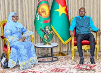 𝐃𝐞́𝐯𝐞𝐥𝐨𝐩𝐩𝐞𝐦𝐞𝐧𝐭 𝐞́𝐧𝐞𝐫𝐠𝐞́𝐭𝐢𝐪𝐮𝐞 : 𝐮𝐧𝐞 𝐝𝐞́𝐥𝐞́𝐠𝐚𝐭𝐢𝐨𝐧 𝐝𝐞𝐬 𝐩𝐚𝐲𝐬 𝐝𝐮 𝐒𝐚𝐡𝐞𝐥 𝐫𝐞𝐜̧𝐮𝐞 𝐩𝐚𝐫 𝐥𝐞 𝐏𝐫𝐞𝐦𝐢𝐞𝐫 𝐦𝐢𝐧𝐢𝐬𝐭𝐫𝐞