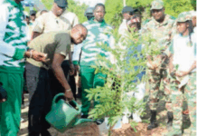 Journée nationale de l’arbre: près de 5 000 plants mis en terre dans le bosquet médicinal à Guiba