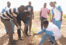 Journée nationale de l’arbre: Le personnel des Affaires étrangères plante 200 arbres