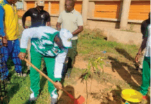 Journée nationale de l’arbre: une centaine de plants mis en terre à l’immeuble Baoghin