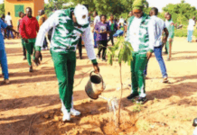 Journée nationale de l’arbre: le ministère en charge de l’économie met en terre 200 plants dans son bosquet