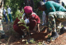 Journée nationale de l’arbre: 2000 plants dans la forêt de Kua dans les Hauts-Bassins