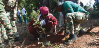 Journée nationale de l’arbre: 2000 plants dans la forêt de Kua dans les Hauts-Bassins