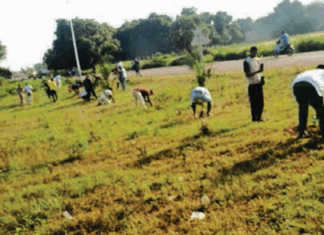 « L’Heure patriotique pour reverdir le Faso » respectée à Banfora