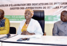 Evaluation des greffes au Burkina: des outils de performances en élaboration