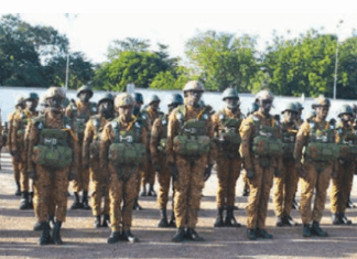 Centre d’instruction des troupes aéroportées: « Attérisage » réussi pour 300 stagiaires parachutistes
