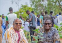 Journée Nationale de l’Arbre : le Ministre en charge de la Culture a planté dans le bosquet de plantes médicinales du Zoundwéogo