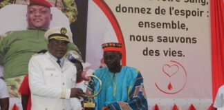 Secteur de la santé : La journée mondiale du donneur de sang commémorée à Tenkodogo