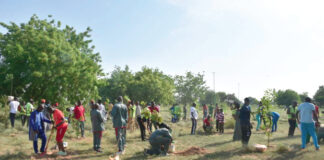 Journée nationale de l’arbre: les ministères de la défense et de l’environnement mettent 600 plants en terre pour un Burkina vert