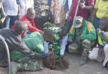 Journée nationale de l’arbre: le ministère en charge de la communication reverdit son bosquet avec 800 plants