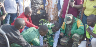 Journée nationale de l’arbre: le ministère en charge de la communication reverdit son bosquet avec 800 plants