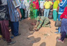 Journée nationale de l’arbre : plus de 6 000 plants mis en terre dans le bosquet des sportifs