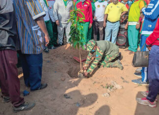 Journée nationale de l’arbre : plus de 6 000 plants mis en terre dans le bosquet des sportifs