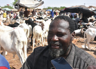 Tabaski 2025 :la hausse des prix inquiète les acheteurs