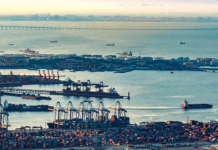 La Chine appliquera la politique de tarif douanier zéro sur 100 % des produits taxables pour les 53 pays africains ayant des relations diplomatiques avec la Chine