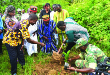 VIIe Salon international de l’arbre: la jeunesse appelée à préserver l’environnement
