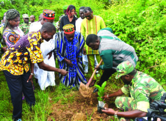 VIIe Salon international de l’arbre: la jeunesse appelée à préserver l’environnement