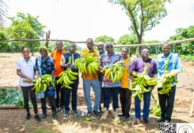 Initiative présidentielle pour la production agricole et l’autosuffisance alimentaire : De l’alloco 100% burkinabè déjà dans nos assiettes
