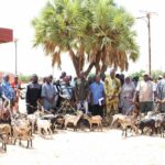 Résilience communautaire: l’Association Wendkouni dote 45 PDI et hôtes de 135 chèvres