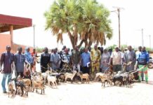 Résilience communautaire: l’Association Wendkouni dote 45 PDI et hôtes de 135 chèvres