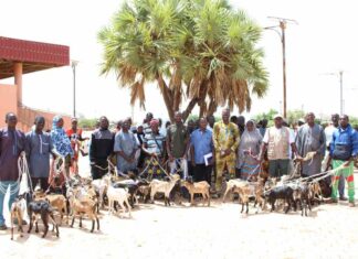 Résilience communautaire: l’Association Wendkouni dote 45 PDI et hôtes de 135 chèvres