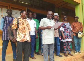 Examens artistiques: une bonne moisson dans toutes les filières