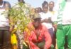 Journée de reboisement des clubs de citoyenneté: 100 plants mis en terre au CEG de Malgbzanga