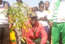 Journée de reboisement des clubs de citoyenneté: 100 plants mis en terre au CEG de Malgbzanga