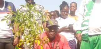 Journée de reboisement des clubs de citoyenneté: 100 plants mis en terre au CEG de Malgbzanga