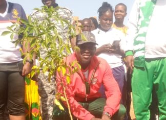 Journée de reboisement des clubs de citoyenneté: 100 plants mis en terre au CEG de Malgbzanga