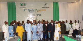 « Initiative Desert to Power » de la BAD: la 5e réunion ministérielle réitère une forte implication du secteur privé