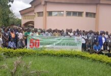 SPONG: un jubilé d’or au service du développement économique