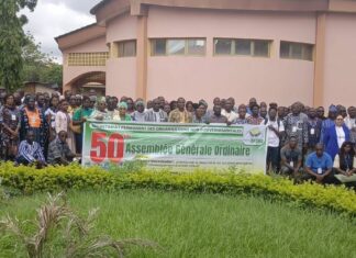 SPONG: un jubilé d’or au service du développement économique