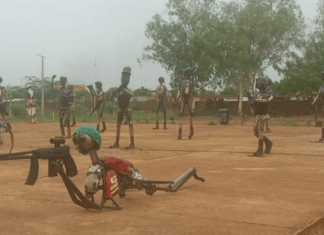 Musée national: une exposition, du 30 juin au 15 juillet, pour rendre hommage aux FDS