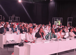 Système commercial multilatéral: le Burkina plaide pour que les producteurs de matières premières récoltent les fruits de leur labeur