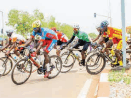 Coup de pédale pour l’arbre: 90 coureurs en lice pour la 1ère édition