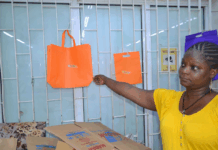 Interdiction de l’usage des emballages et sachets plastiques: des sacs biodégradables comme alternatives à Bobo-Dioulasso