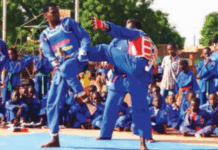 Championnat national de vovinam viet vo dao: la Ligue du Centre désigne ses représentants