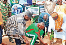 Journée nationale de l’arbre dans la région de Nando: plus de 2 000 plants mis en terre au lycée technique régional à Villy